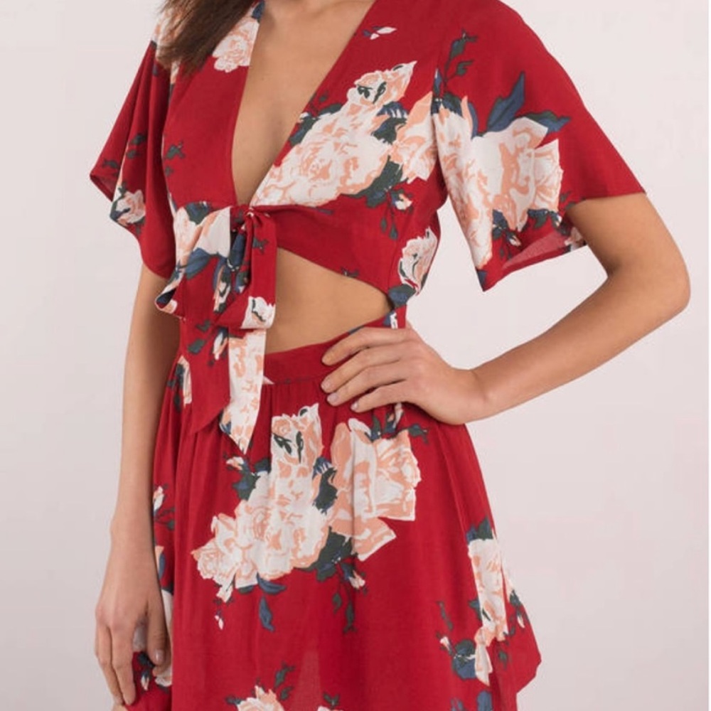 Tobi - Behind Rose Doors Skater Dress